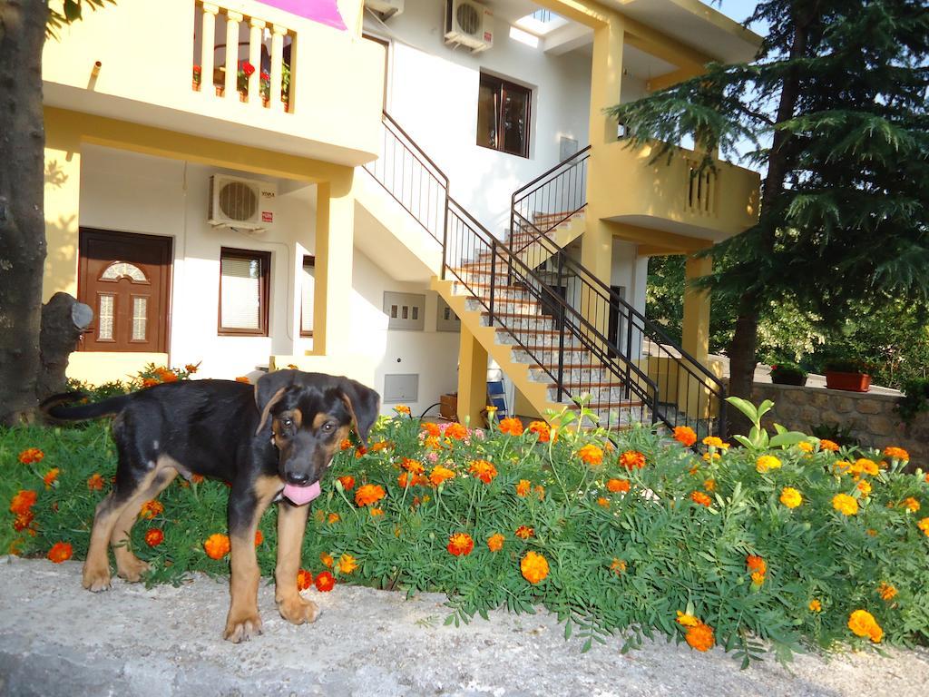 Apartments Dakovic M Kotor Exterior foto